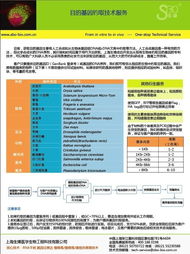 目的基因釣取技術(shù)服務(wù) 上海生博醫(yī)學(xué)生物工程科技有限公司的專業(yè)優(yōu)勢(shì)與網(wǎng)絡(luò)技術(shù)支撐